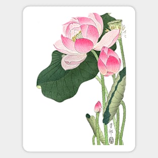 Blooming lotus flowers Japanese artwork Magnet